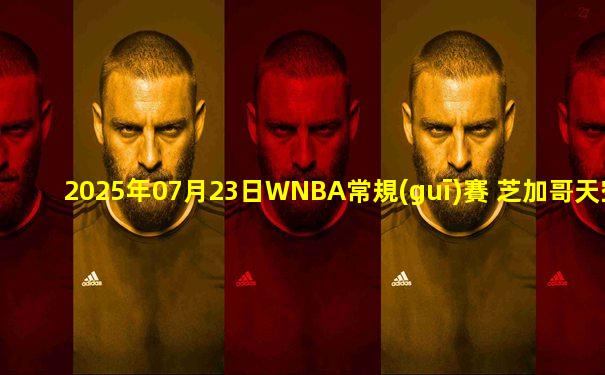 2025年07月23日WNBA常規(guī)賽 芝加哥天空 - 明尼蘇達山貓 全場錄像
